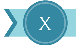Letter X of online marketing terms