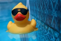Rubber Duckie, You