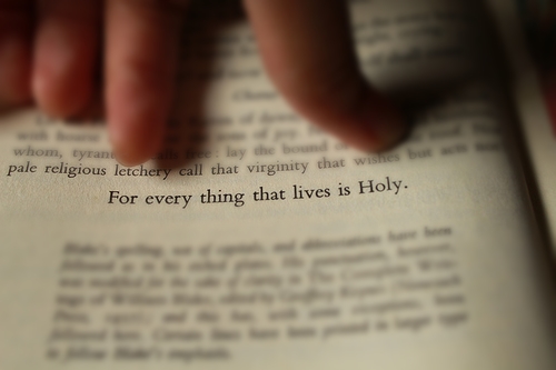 For everything that lives is Holy