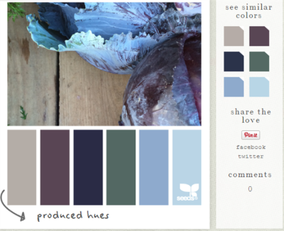 Design seeds - color palette 