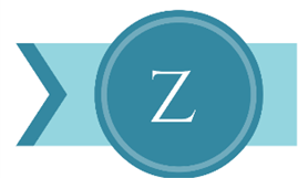 Letter Z of online marketing terms