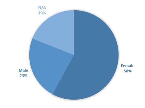 gender in blogging