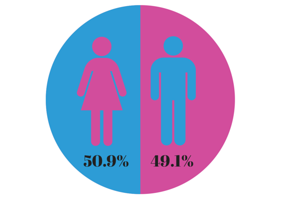 Gender in Blogging