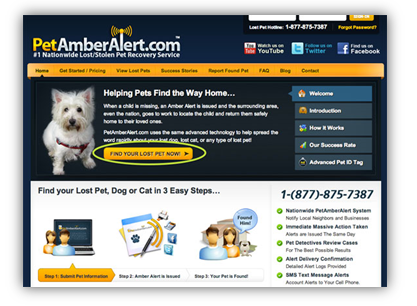 beginner's guide to online paid advertising - pet amber alert