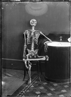 Why Not One “Productivity Hack” Will Ever Make You More Productive - Portrait of an articulated skeleton on a bentwood chair