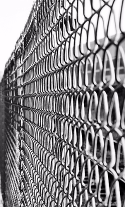 Chain Link Fence